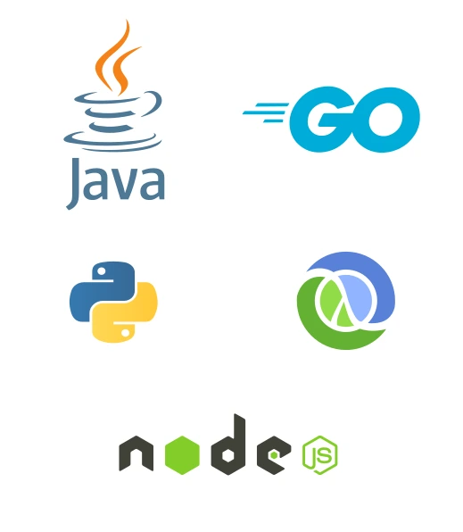 Logos of a few programming languages supported by Entrywan's Paas: Java, Go, Python, Clojure, NodeJS
